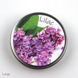 Lilac Wundle