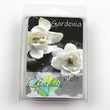 Gardenia Wundle Melt